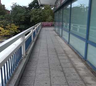 Körperwelten im Menschen Museum