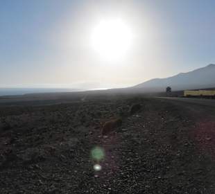 Wandern Playa de Esquinzo