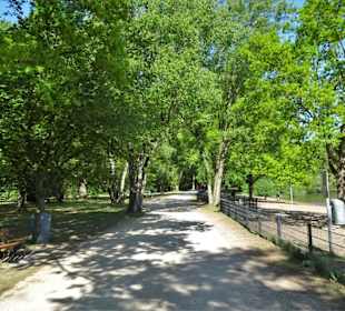 Der Hundestrand am Silbersee