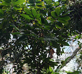 Anlage Planten un Blomen