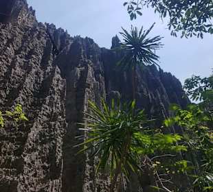 Tsingy von unten