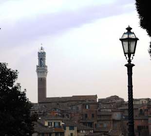 Altstadt Siena