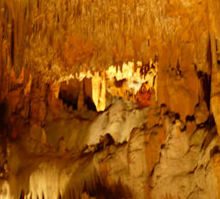 Tolles Anschauungslicht