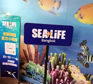 SEA LIFE Ocean World