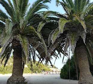 Cala Agulla/ Cala Guya