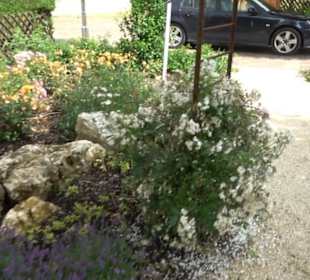 Historische Stadtmauer