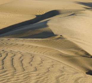 Dünen von Playa del Ingles Gran Canaria 03