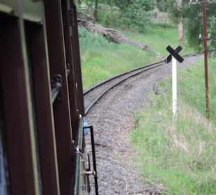 Mit der Puffing Billy Dampfbahn unterwegs