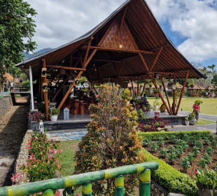 Gastro gibt es auch...