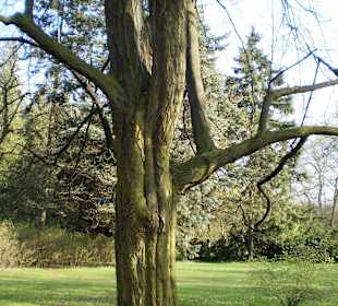 Łazienki Królewskie