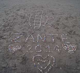 Twórczość na plaży