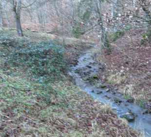 Ochsenweiher Rundweg