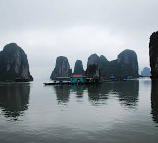 Halong bay