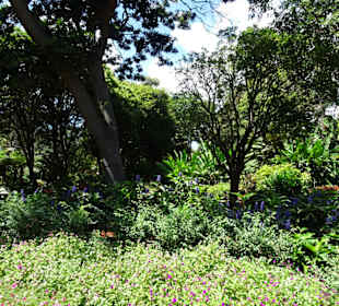 Stadtrundgang Sydney