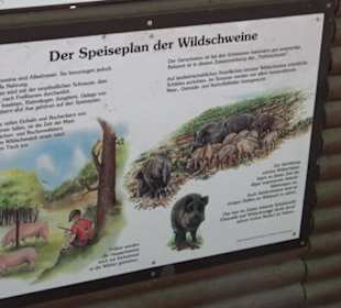 Altwege Rundwanderung Bebenhausen