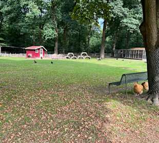 Steinerbos Belevenispark