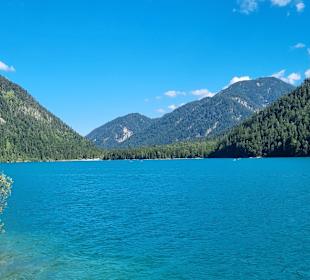 Plansee