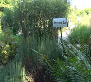 Botanischer Garten München