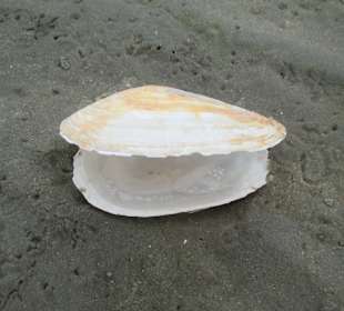 Strand Duhnen