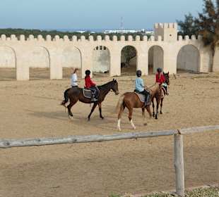 Reitunterricht in kleinen Gruppen
