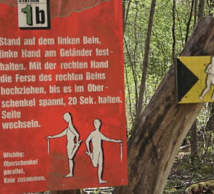 Waldsportpfad im Wasenwald