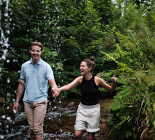 Wandern Bannwald Baiersbronn