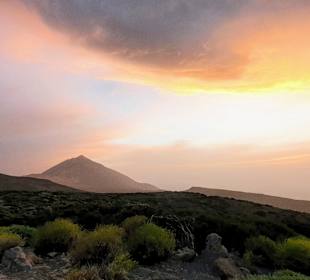 Wandern La Caleta de Adeje
