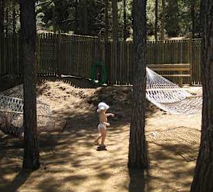 Hängematten oben im Pinienwald