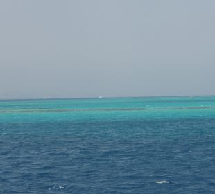 An einem der Korallenriffe