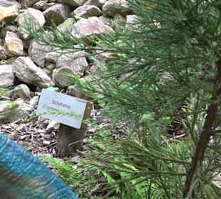 Dinosaurier Museum Altmühltal