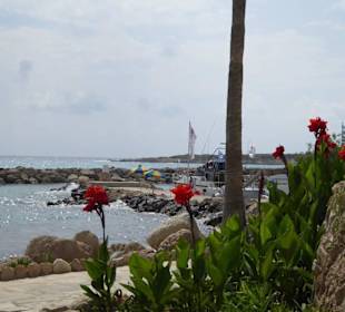 Arapis Coral Bay Restaurant und strand 