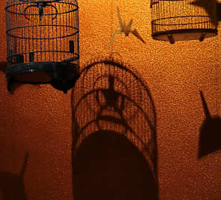 Abendessen bei Mama Tai n der Pontstraße