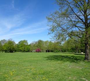 Rundgang durch den Walter-Peters-Park