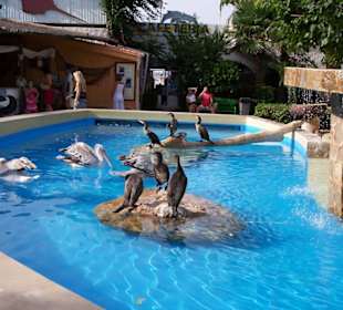 Marineland