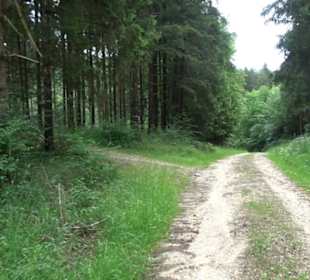 Premiumwanderweg "hochgehackert"