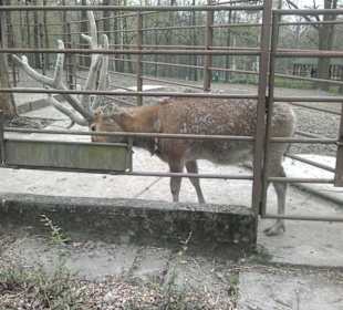 Zoo Ostrava