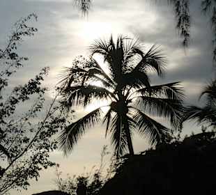 Auch am Abend noch wunderschön.