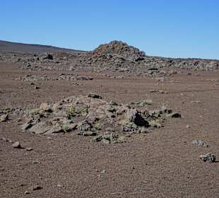 Impressionen aus der Plaine des Sables