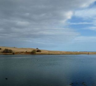weiter Blick zu den Dünen