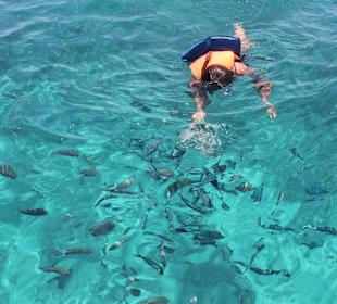  Sky Red Sea Aqua Center