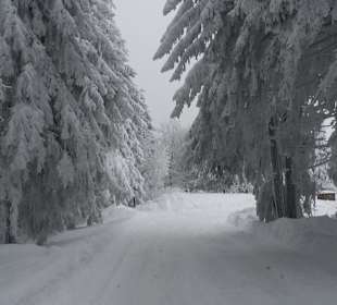 Winter Impressionen