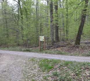 Wanderweg Firstwaldrunde