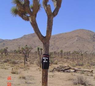 Joshua Tree National Park