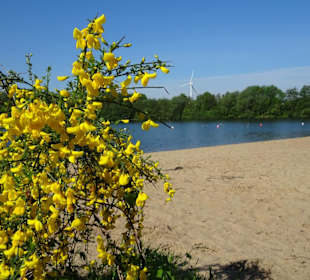 Der Strandbereich des Mahndorfer Sees
