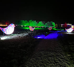 Herbstlichter Brückenkopfpark