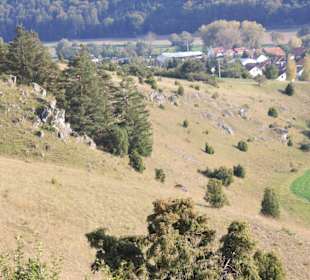 Wacholderheide Gungolding