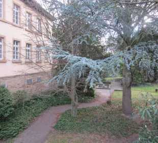 Weihnachtsmarkt Deidesheim