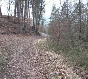 Unterjesinger Wengertwegle