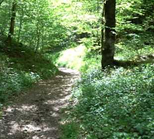 Premiumwanderweg Hochgehschätzt