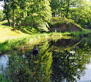 Fosa